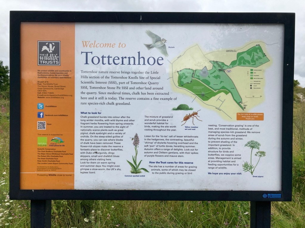 14: Totternhoe Stone. A chalk you can build&nbsp;with.