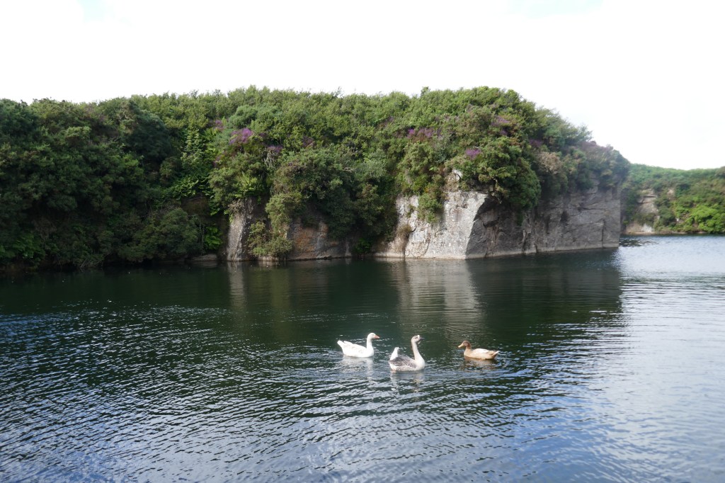 5: Carmenellis granite – Part 1&nbsp;Trolvis