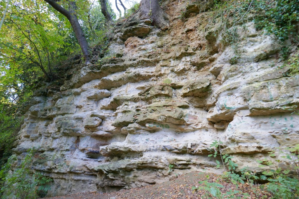 25: Kentish Rag Pt2 – Fox’s Quarry and the Loose Valley near&nbsp;Maidstone.