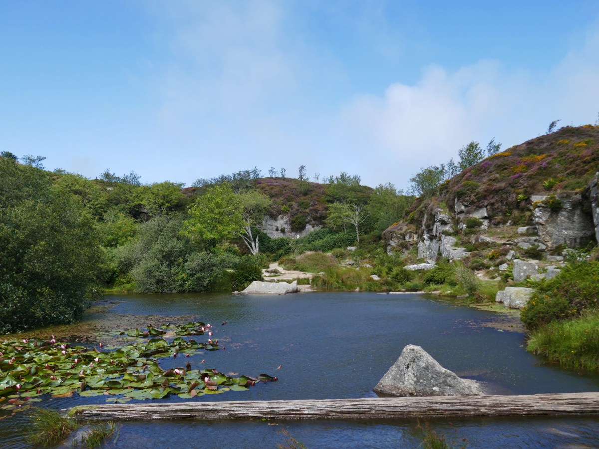 66: Haytor Quarry,&nbsp;Dartmoor.
