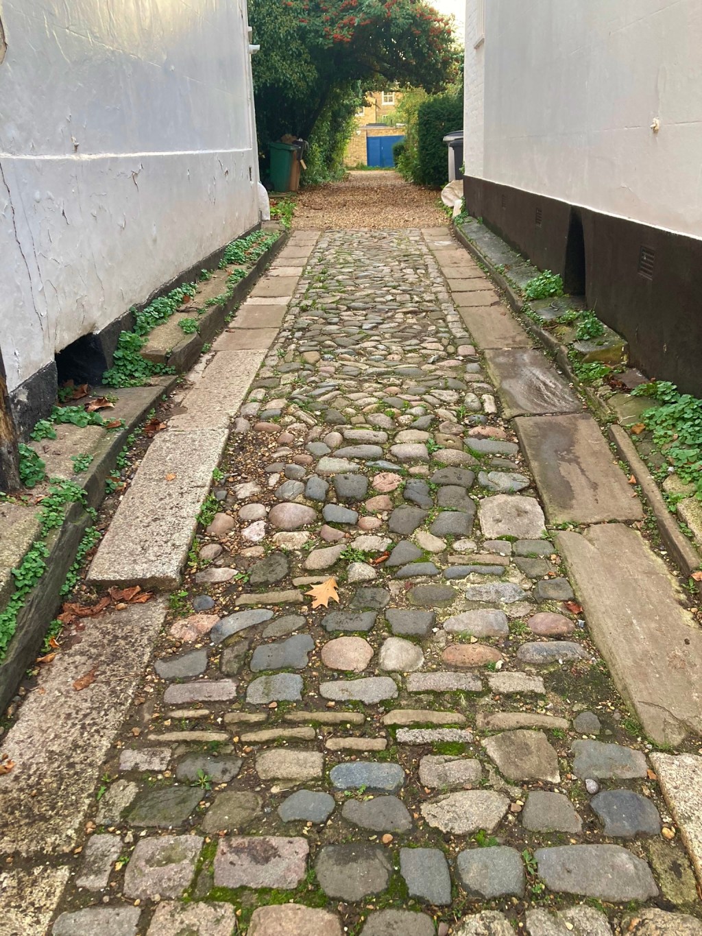 69: 18thC cobble road, Grove Terrace, Dartmouth&nbsp;Park.