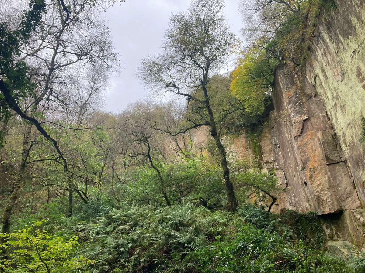 74: Return to Luxulyan: Rock Mill&nbsp;Quarry